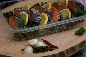 ظروف یکبار مصرف پروتئینی1