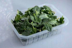 ظروف یکبار مصرف سالاد و سبزیجات1