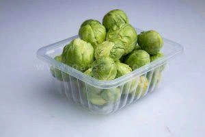 ظروف یکبار مصرف سالاد و سبزیجات10