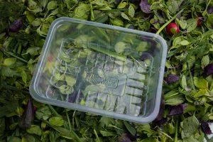 ظروف یکبار مصرف سالاد و سبزیجات13