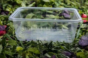 ظروف یکبار مصرف سالاد و سبزیجات14