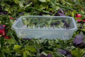 ظروف یکبار مصرف سالاد و سبزیجات15