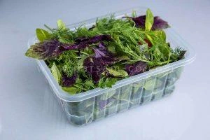 ظروف یکبار مصرف سالاد و سبزیجات2