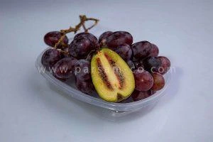 ظروف بسته بندی 22