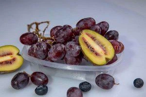 ظروف بسته بندی 23