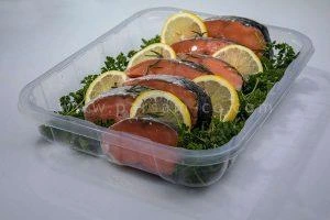 ظروف یکبار مصرف پروتئینی3