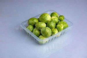 ظروف یکبار مصرف سالاد و سبزیجات3