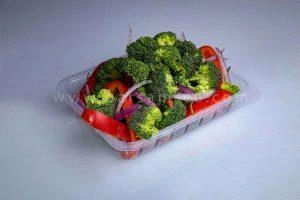 ظروف یکبار مصرف سالاد و سبزیجات6