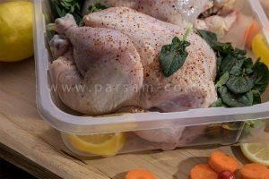 ظروف یکبار مصرف پروتئینی8